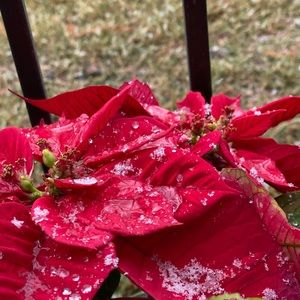 Meet your Posher, Aj